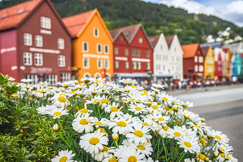 AIDA kondigt Midsummer-cruise aan met Samu Haber	