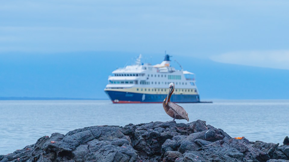 HX_Expeditions_verlengt_Galpagoscharterovereenkomst