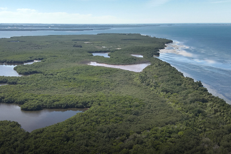 Nieuw_cruisethavenproject_gepland_in_Florida