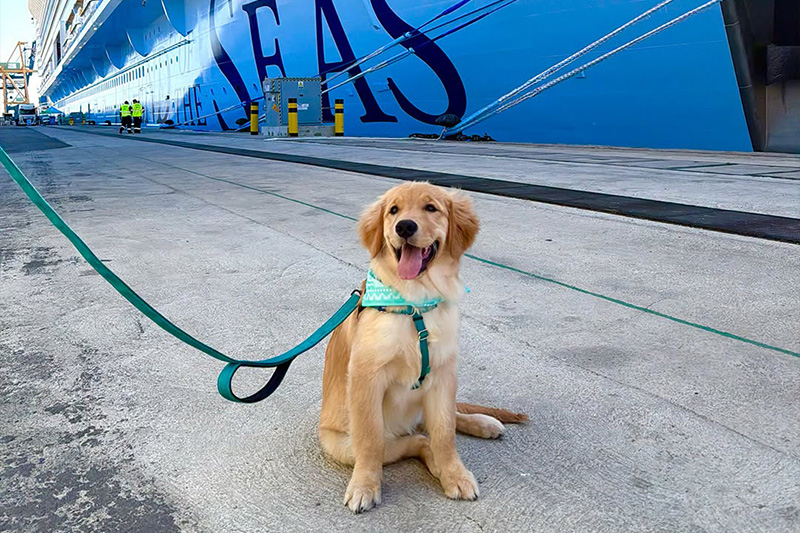Chief Dog Officer gaat aan boord van Legend of the Seas voor eerste seizoen