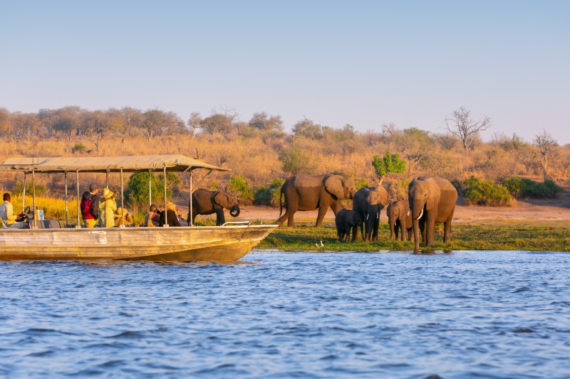 Atlas Ocean Voyages presenteert zeven safariprogramma's voorafgaand aan de cruises van 2029